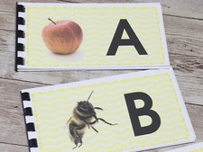 Pre-Reading  Series - 26 Alphabet Pictures  Booklets - preschool - Montessori Preschool Educational & Teaching Books price