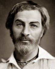 1855 Young American Literature Poet Author WALT WHITMAN Picture Photo 5x7 American Literature price
