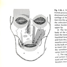 Vintage Reanimation of The Paralyzed Face Book Hardcover Leonard R. Rubin 1977 Medical Books price