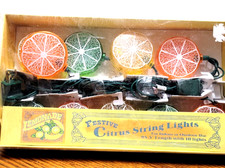 camping party Light Set Indoor/ Outdoor Festive Citrus String 10 Lights NIB Camping Set & Festival Package price