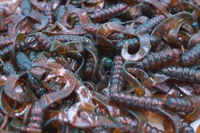 2" Motor Oil Red Sparkle Twin Tail Twister Grubs Crappie Walleye Bass Fishing Motor Oil price