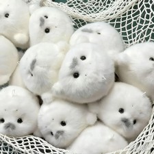 Cute Baby Seal Plush Toys, 12cm Realistic White Ocean Animal Stuffed Plush Toys price