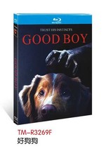 Good Boy (2025) Horror Thriller 1-D Horror-Thriller price
