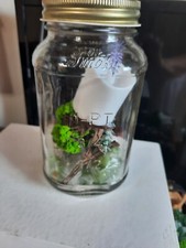 Grab BAG FAIRY GARDEN KITS! Garden Accessory price
