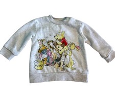 Disney Baby Winnie the Pooh & Friends Graphic Sweatshirt Shoulder Button Newborn Baby Sweatshirt price