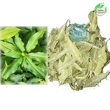 Insulin Plant whole leaves Dried Organic  Costus igneus Costaceae. Organic Products price