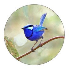 Australian Country Tile Trivet Blue Wren 16cm Hot Pot Holder Trivet price