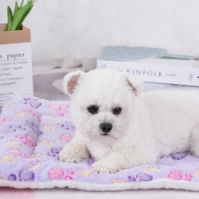Cats Bed Pet Products Beds & Furnitures House Bed & Furniture Basket Warm Access Pet Products price