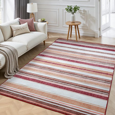 4x6 Area Rugs for Living Room, Machine Washable Non Slip Rug, Soft Carpet for... Salon Halısı price