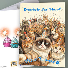 Cat Birthday Card - Birthday Party! Funny Birthday Card for Cat Lover Birthday & Party price
