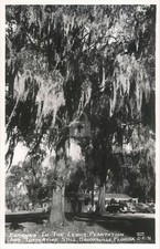 Lewis Plantation Turpentine Still Brooksville FL Cline RPPC Photo Postcard COPY Turpentine price