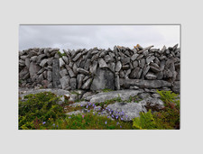 Ireland Dry Stone Wall Premium Giclee Print 11" x 17" Irish Wall Art Natural Stone Wall Art price