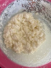 Búlgaros De Leche Para Hacer Keffir Casero Yogurt Makers price
