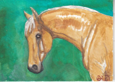 ACEO original Watercolor Art Card HORSE gorgeous golden Half Arab Palomino mare Gouache Paint price