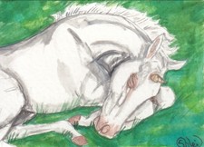 ACEO original Watercolor Art Card HORSE  Summer Prince Sleeping Unicorn Foal Gouache Paint price