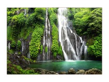 XXL Poster 100 x 70cm Dschungel Wasserfall tropischer Regenwald (F234) gerollt Poster price