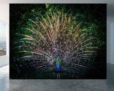 Wasserabweisende Pfau Wanddeko - Selbstklebende Vinyl Wohnzimmertapete Wallpaper price