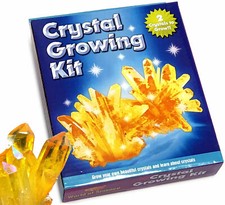 Kristall Anzuchtset Kinder Wissenschaft Experiment MINT pädagogisches Spielzeug Alter 8+ Educational Toy price