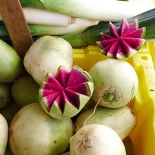 Radieschen Wassermelone Winterradieschen Rettich Radish Watermelon Red Meat Red Meat price