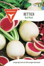 Rettich, Red Meat - Gemüse-Samen Rettich-Samen Saatgut Samen Red Meat price