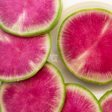 Winter-Rettich 'RED MEAT' 50 Samen RAPHANUS SATIVUS Wassermelonenrettich NUSSIG Red Meat price