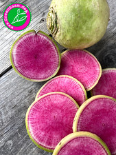 Rettichsamen 🍉RED MEAT ♥️Wassermelonenrettich 50+ Samen nussig gesund Red Meat price