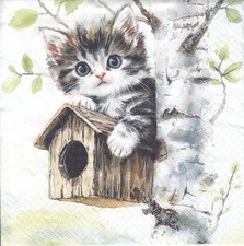 3 Lunch Papier Servietten Napkins (N7-6) kleine Katze auf einem Vogelhäuschen Napkin price