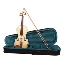 4/4 Violinen Set Tragbar Anfänger Violinen Kits für Anfänger Violinenliebhaber Teens Violins price