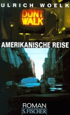 Amerikanische Reise. Roman Amerikanische Literatur price