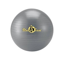 Lagerräumung: Uncle Sam Gymnastikball Ø ca. 65 cm 18755 Pilates Ball Yogaball Pilates Ball price