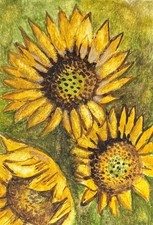 ACEO Original Aquarell. Sonnenblumen Baldachin Blumen gelbe Felder Sommer Wild. Paints price
