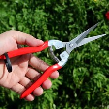 Gartenschere Gartenschere Gartenschere Astschere Schneider Handwerkzeug Schere 20 cm Pruning Shears price