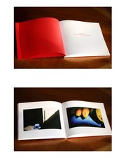 MONOBLOC Art Photography Book Vietnam Neil Massey Signed VERY RARE Edition Of 5 Decorative Garten Produkte price