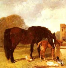 Blechschild Hering Snr John Frederick Pferd und Fohlen Bewässerung an einem Trog A4 12x Watering Trough price