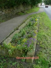 FOTO OCHSENQUELLE ALTER STEINTROG - URSPRÜNGLICH ZUM TRÄNKEN VON TIEREN VERWENDET WIR SIND Watering Trough price