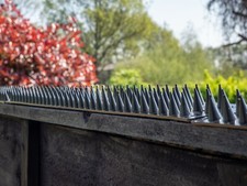 Zaun Wand Spikes Garten Sicherheit Einbruchschutz Einbrecher Anti Katze Kletter Vogel Garten Fence price