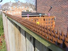 ZAUNSPIKES GARTENSTREIFEN KLETTERSCHUTZ EINBRECHER Garten Fence price