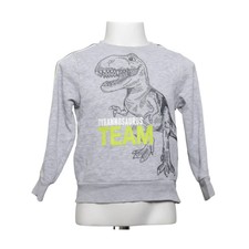 Tough Team, Sweatshirt, Größe: 104, Grau/Gelb, Print, Sweat, Jungen #Z2X Jungen-Sweatshirt price