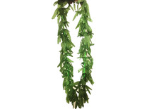 Hawaii Kostüm Blatt Girlande Halskette Kostüm Zubehör grün tropisch Costume Necklace price