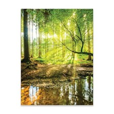Poster Wald Natur 30x40 / 50x70 / 70x100 Hochformat OHNE RAHMEN XXL Wandposter Leinwandbild price
