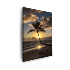 Leinwandbild Natur Palme bei Sonnenuntergang Größe: 30x40 cm bis 80x120 cm. Leinwandbild price