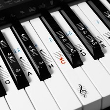Klavier Keyboard Noten Aufkleber Deutsches Layout 49 61 76 88 Tasten Instrumente Keyboard Instruments price