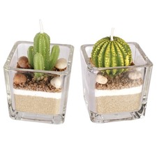 2 Stück Deko Kaktus Pflanze Kerze Teelicht Kerzen im Glas Wohndeko Decorative Candle price