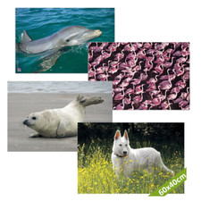 Schreibtischunterlage Schreibunterlage Veloflex Tiere Motiv 60x40cm abwaschbar Schreibunterlage price