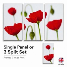 Gerahmter Wandbild-Leinwanddruck Mohnblume - einzelne Paneele oder 3 geteilte Set 70 x 33 cm Multi-piece / Forex Wall Art price