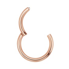 1,2mm Rose Gold Schwarz Silber Piercing Clicker Hinged Segment Ring Scharnier Gold- & Silber-Piercing price