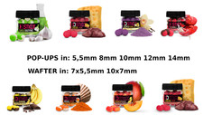 Pop Ups Wafter Hakenköder Hookbaits  Carp Method Feeder Boilie - Delphin Snax Kase price