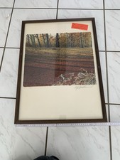 Farbdruck Bild Im Rahmen Landschaft/ Wald Mit Signatur Ölgemälde price