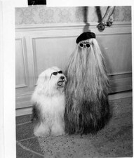 Felix Silla With Addams Family Dog 1964 Addams Family Tv Old Photo TV Silla price