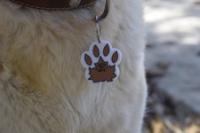 Placa de Otoño forma de Huella y NFC para Mascotas | Identificación Inteligente Inteligente Collar price